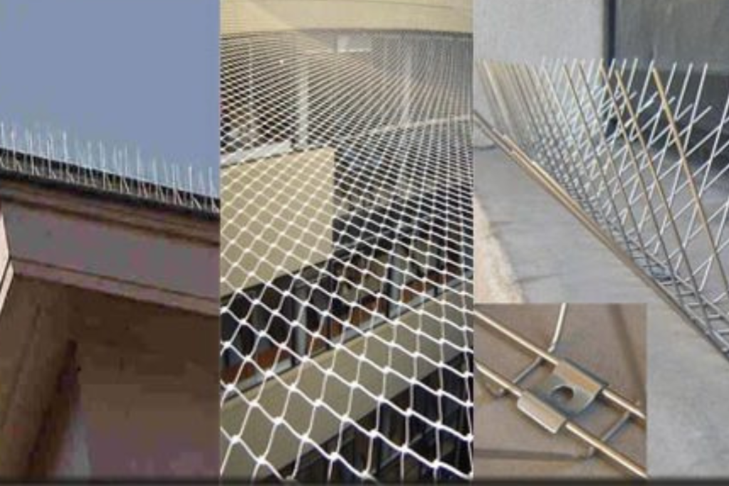 تركيب طارد الحمام والشبك بحفر الباطن